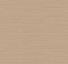 Loymina Amazonia Ins9 002/1